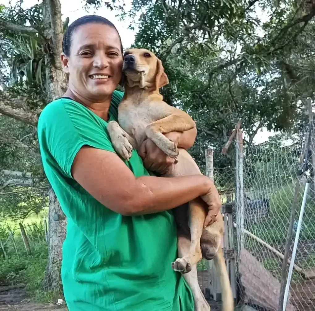 Abrigo Salve C&atilde;o